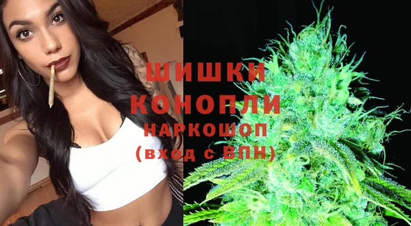 СК Магадан